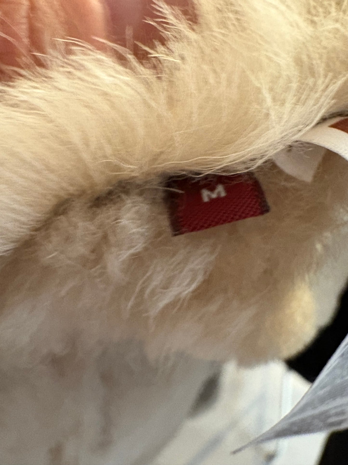 COMPTOIR DES CONTONNIERS. Biker piel texturas. T M