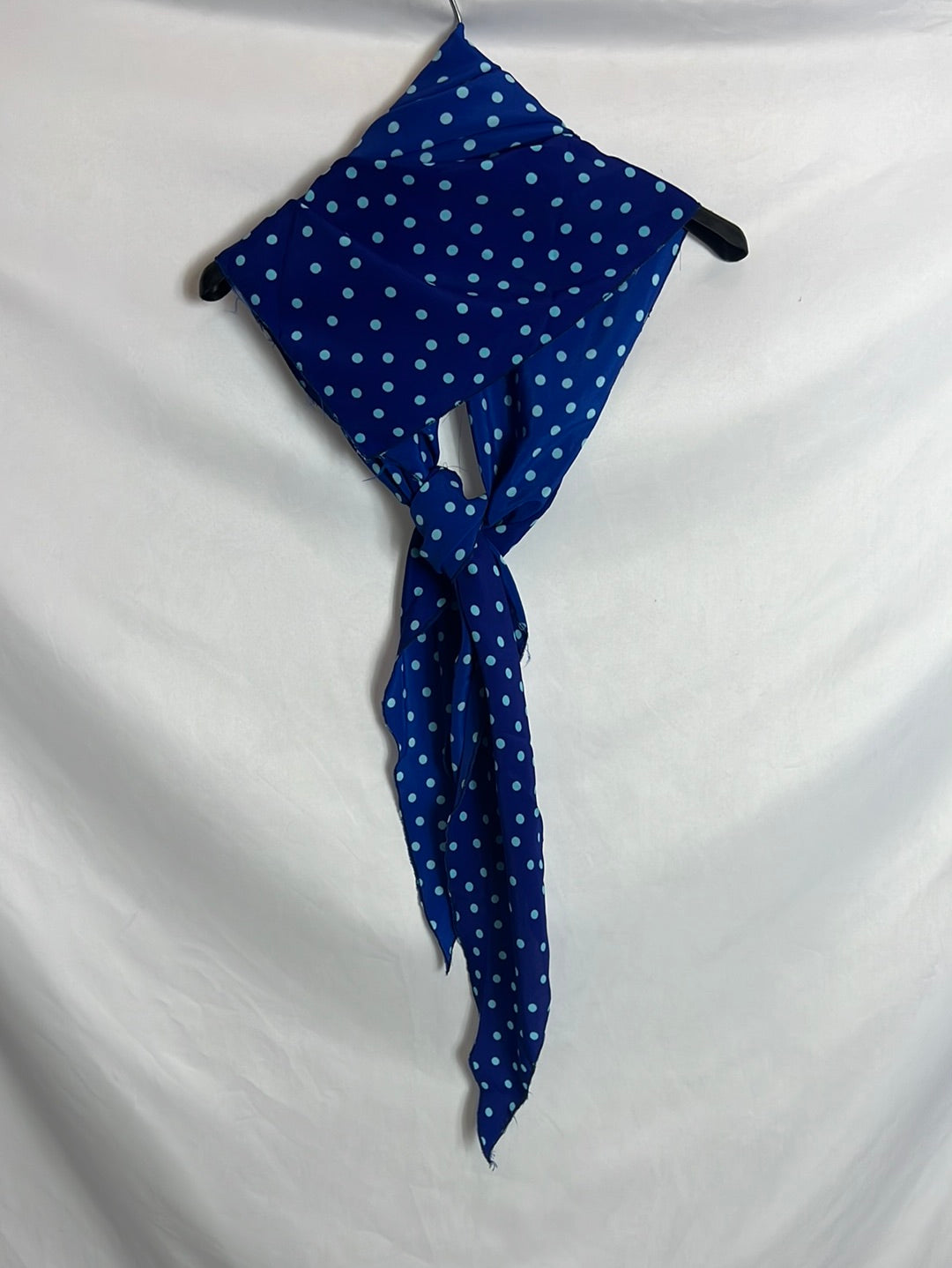 OTHERS. Blue polka dot scarf