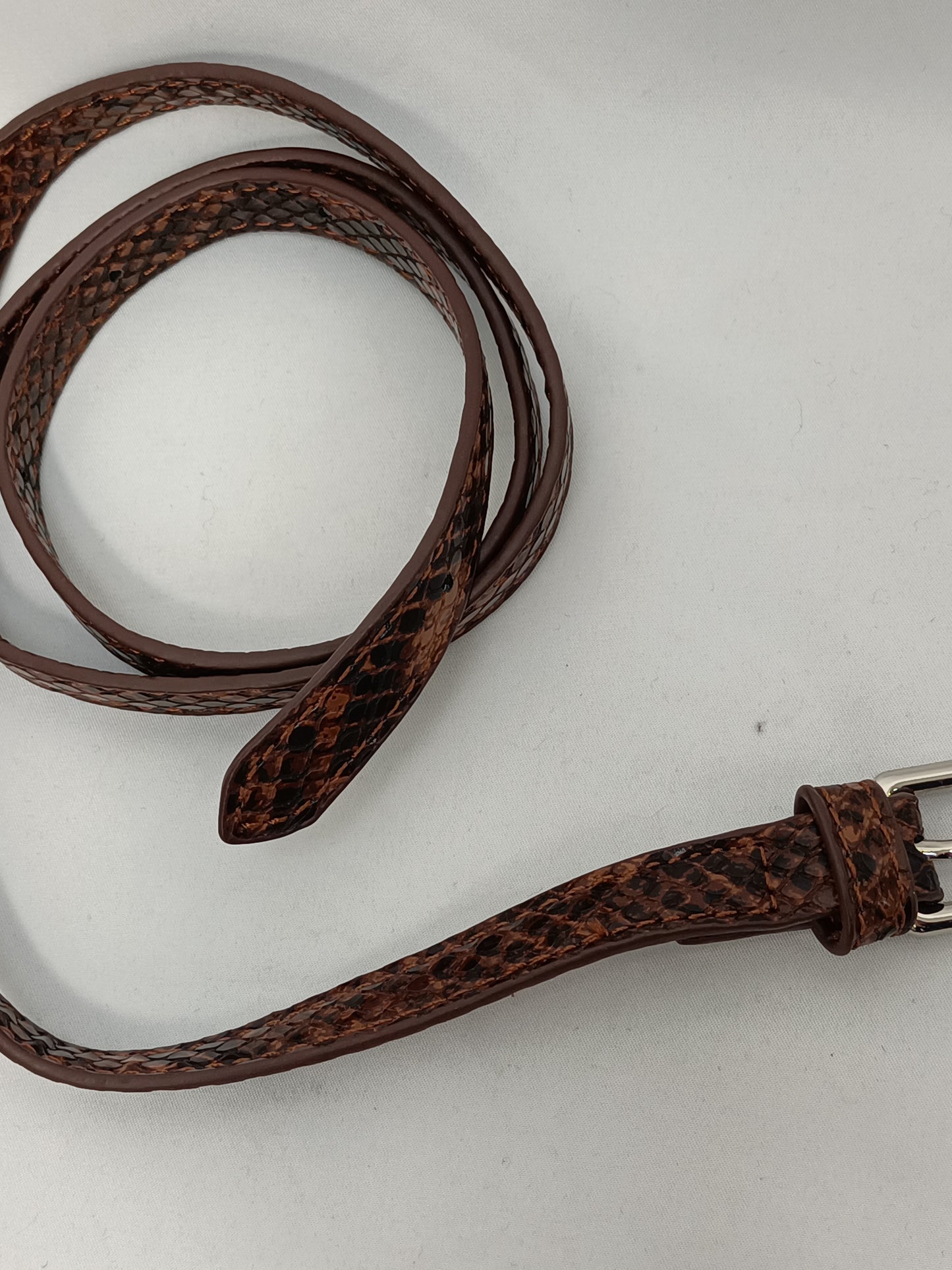 OTHERS. Your Snake Belt