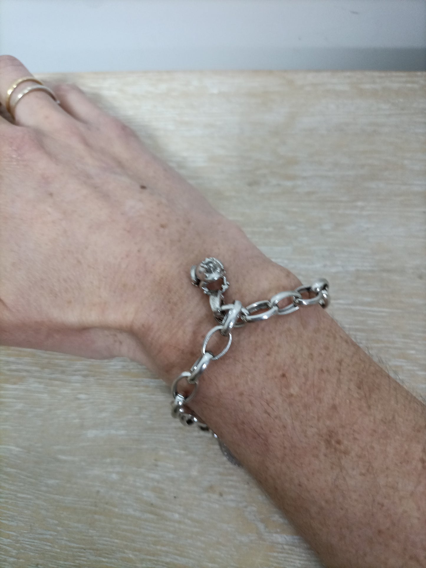 ARISTOCRAZY. Pulsera plata sapo