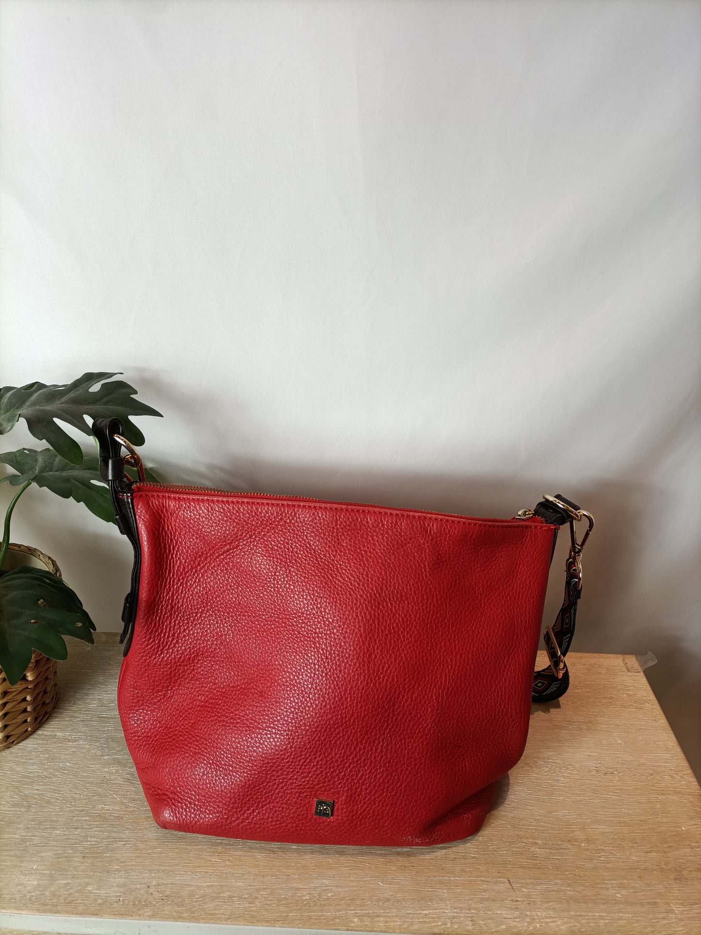 PURIFICACIÓN GARCÍA. Red Boldo (Tara)