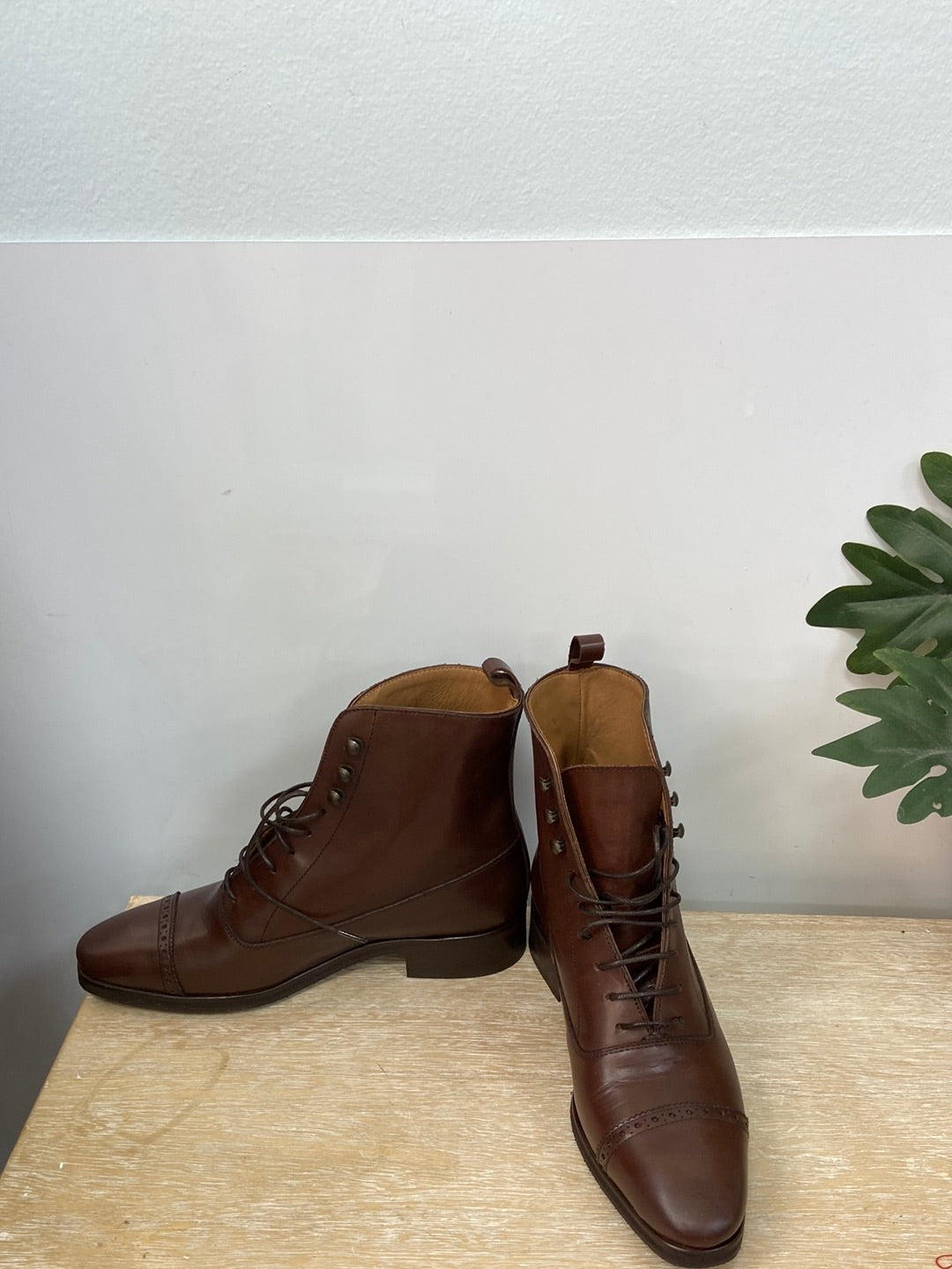 DIPLOMATIC.Botines piel marrón T.37