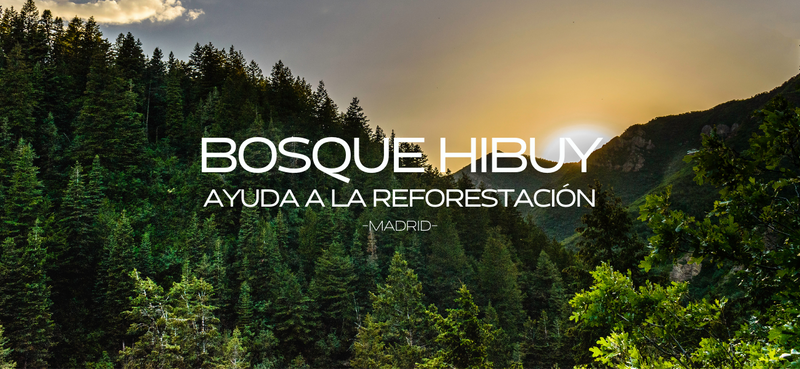 BOSQUE HIBUY - AYUDA A LA REFORESTACIÓN
