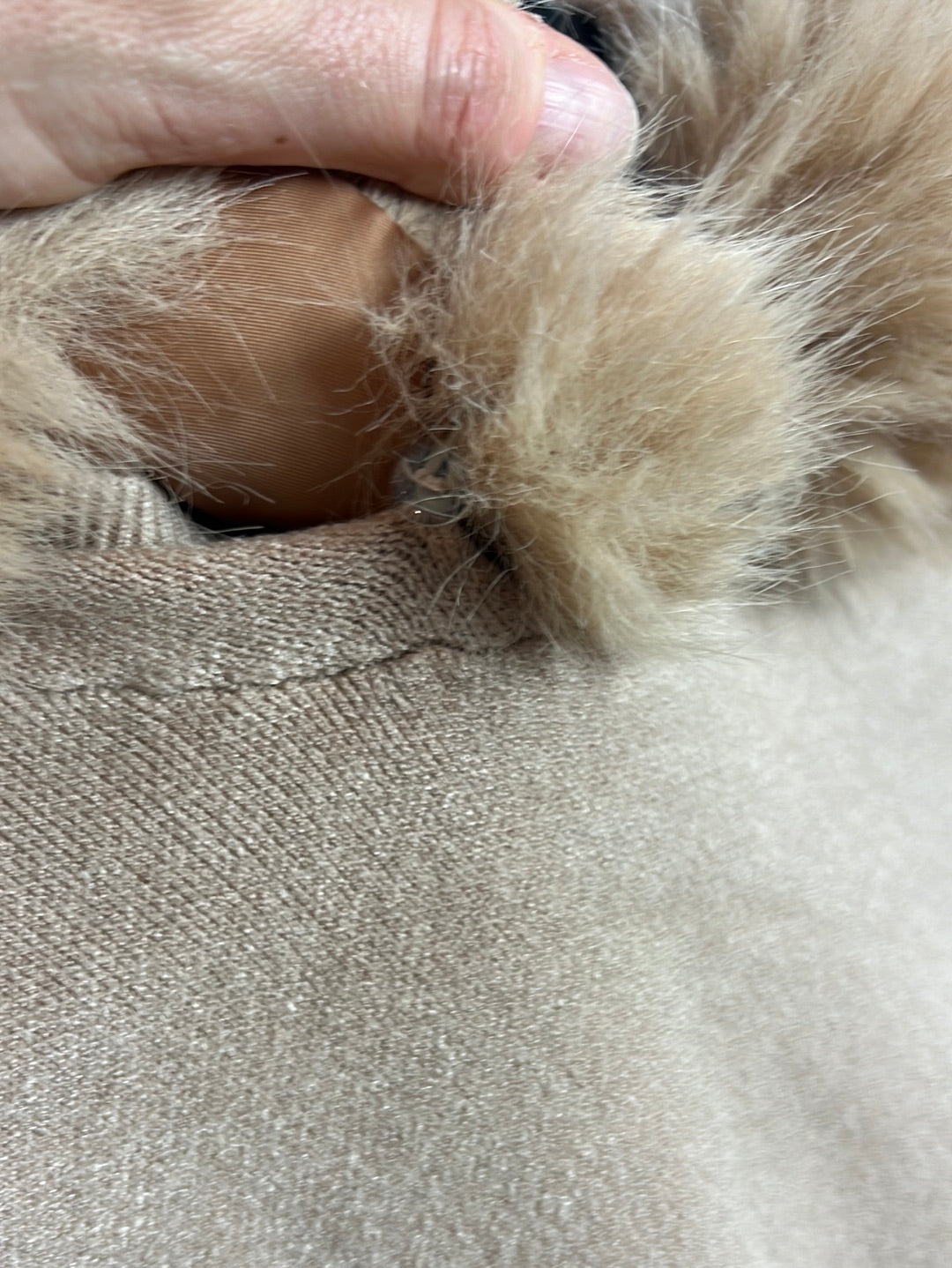 CARLOTA & CO. Jersey camel capucha. TU (M)