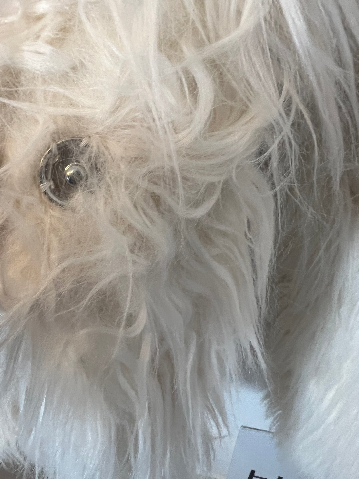 C&A. Abrigo pelo color crudo.  T S