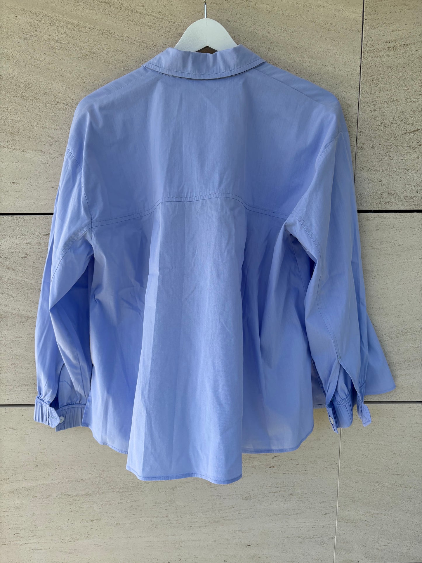LION OF PORCHES. Camisa azul claro