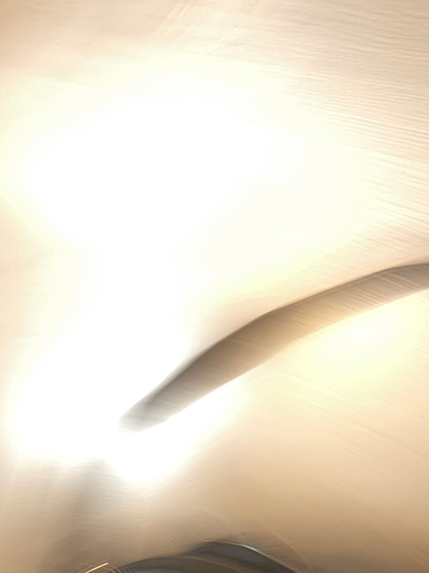 ADOLFO DOMINGUEZ. Bolso piel azul doble asa