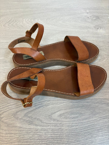 STEVE MADDEN. Sandalia marrón piel