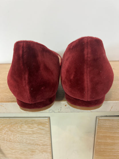 SALO. Manoletina burdeos terciopelo moña extraible T.37