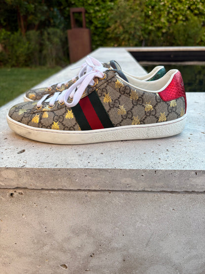 GUCCI. Zapatilla Gucci Ace con tribanda T 38