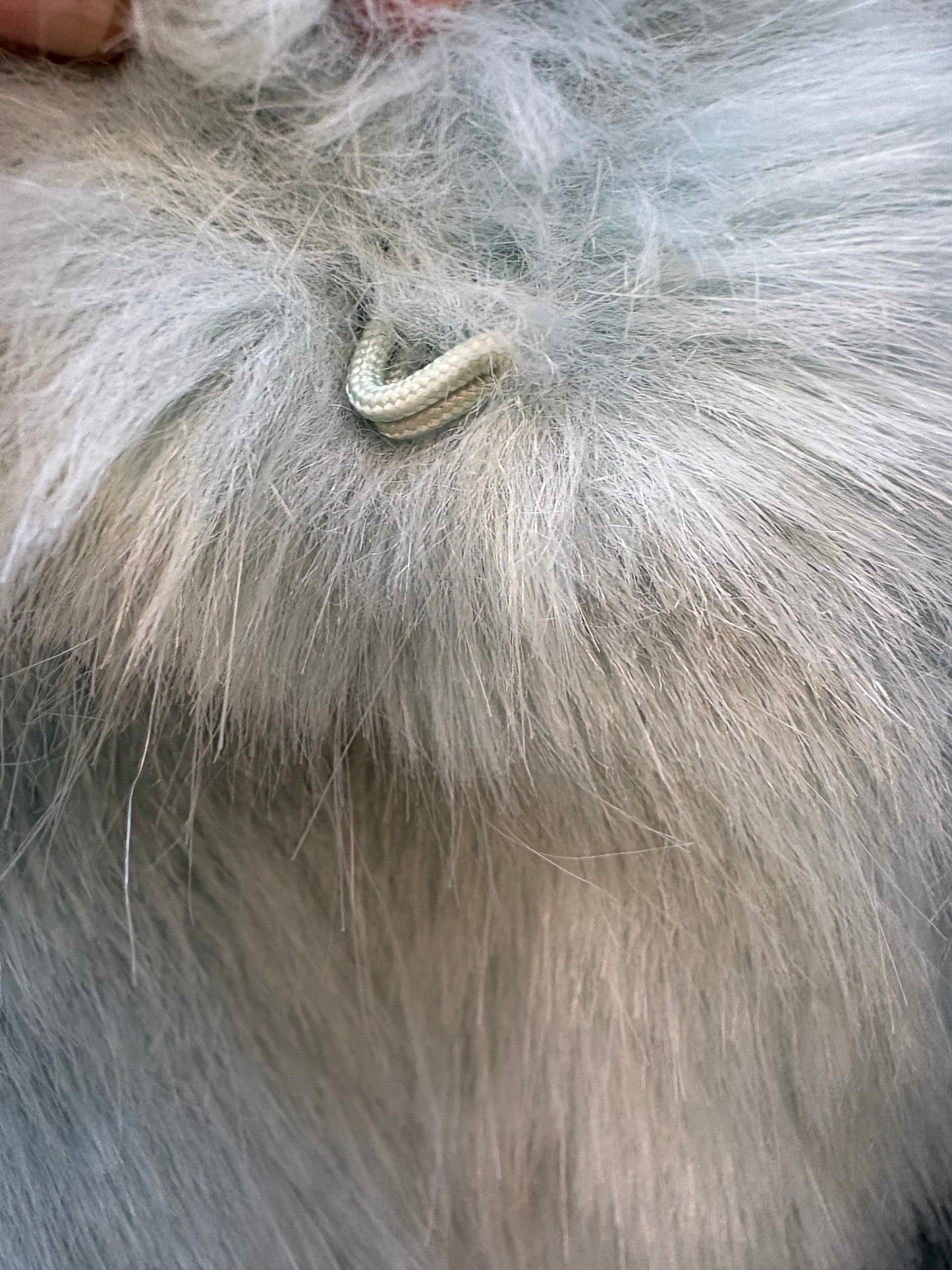 ZARA. Chaqueta pelo verde agua. T M