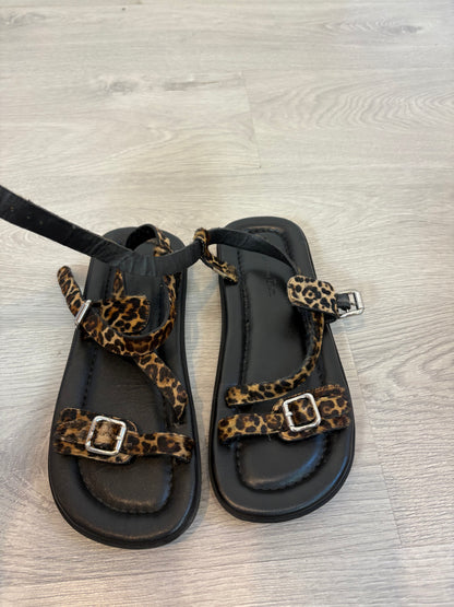 MASSIMO DUTTI. Sandalia piel tira cruzada . T 39