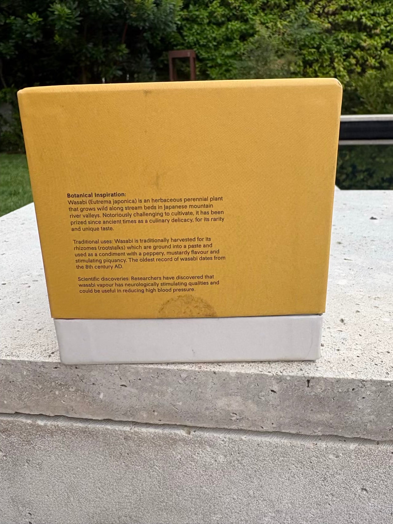 LOEWE. Vela aromática