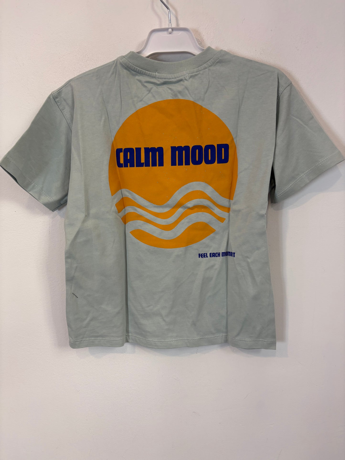 ZARA. Camiseta tono azul claro dibujos. T 6-7 años