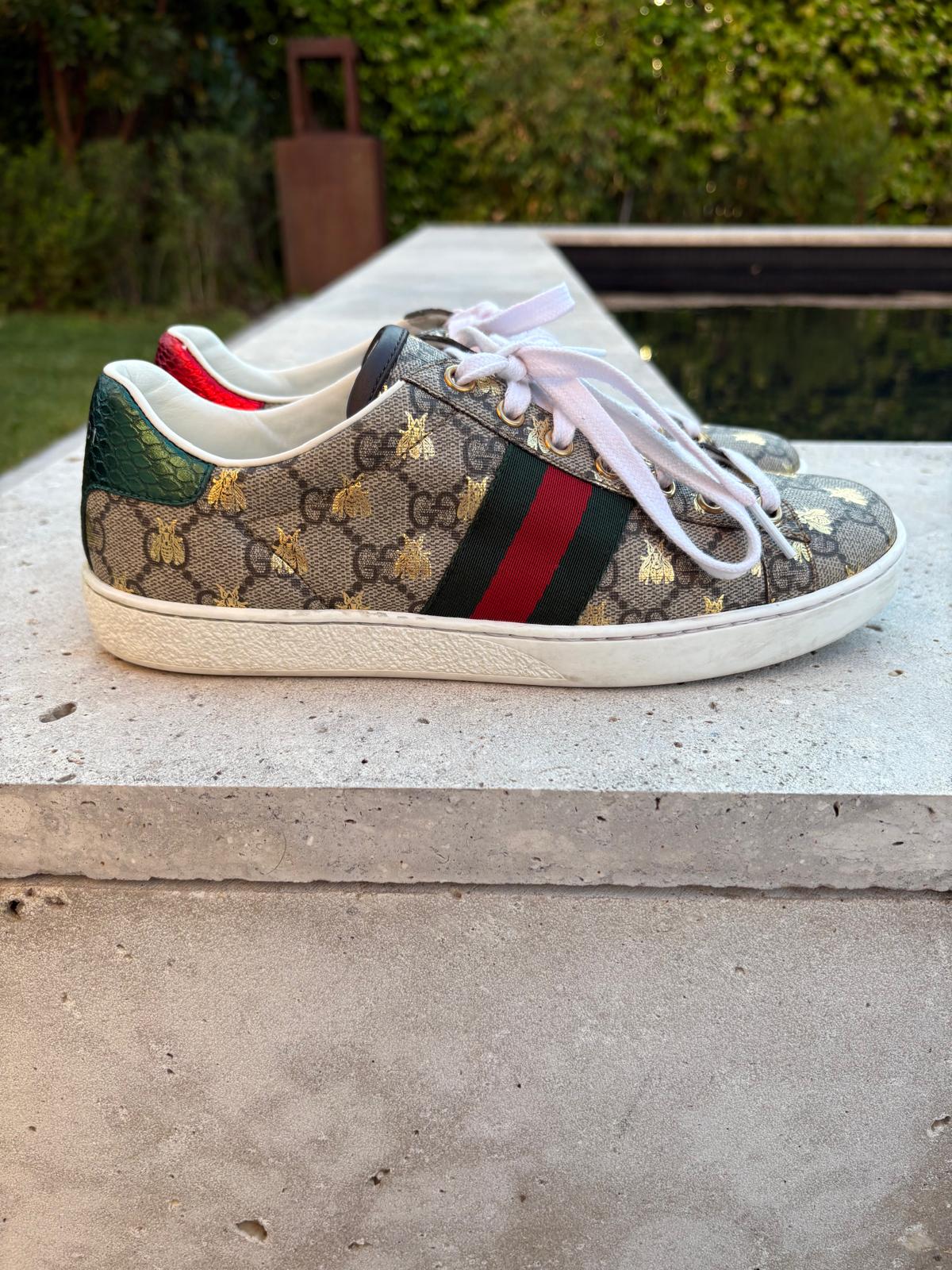 GUCCI. Zapatilla Gucci Ace con tribanda T 38