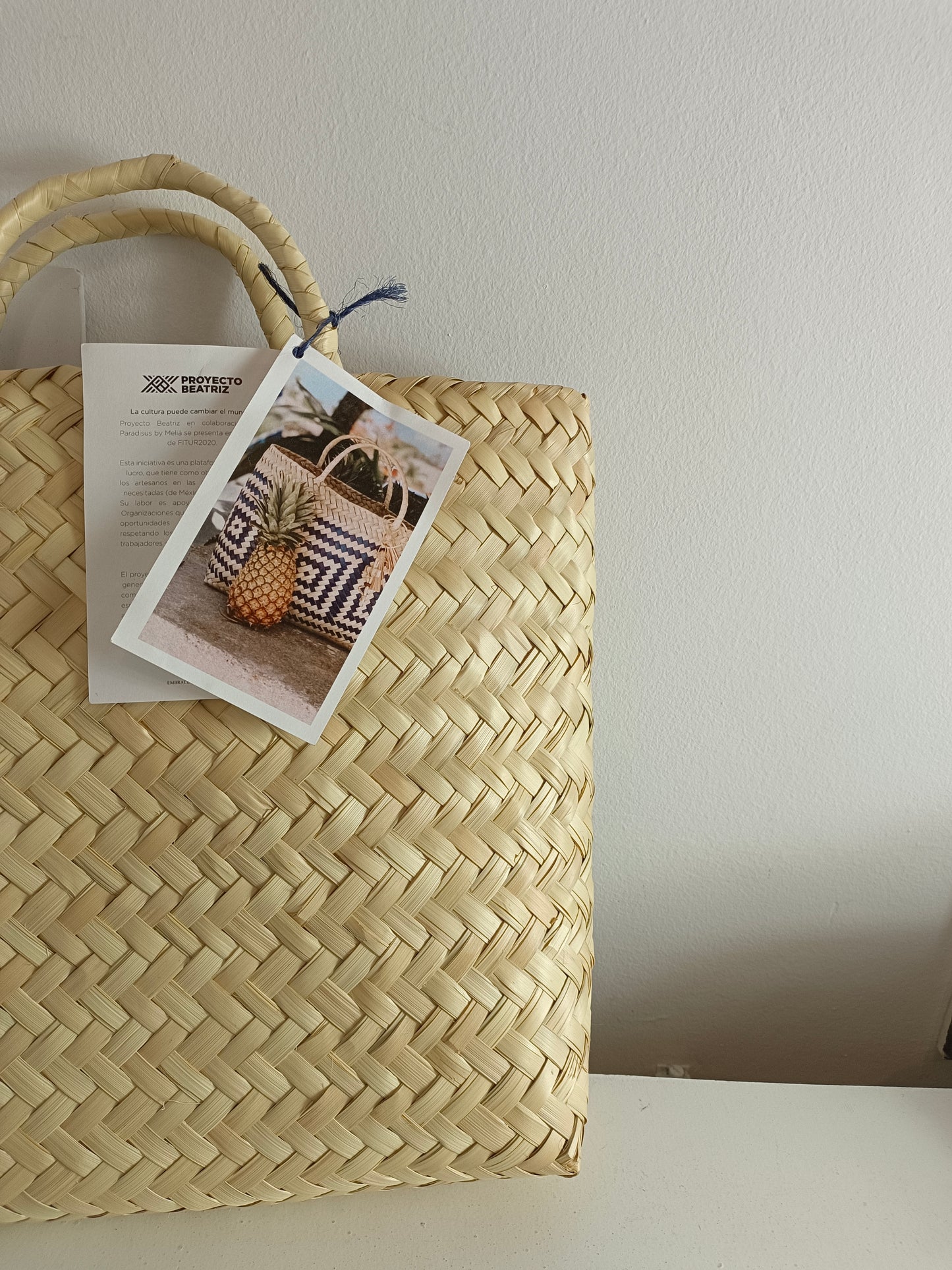 OTRAS. Bolso rafia rígido