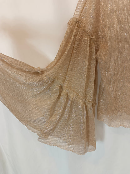 ZARA. Semi-sheer gold Ts top