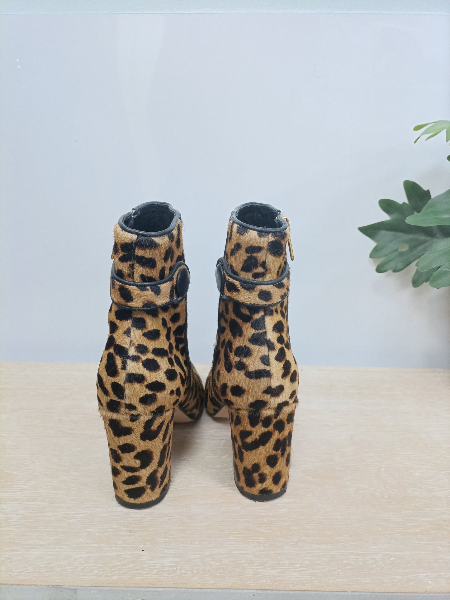CARRANO.Botines animal print T.36