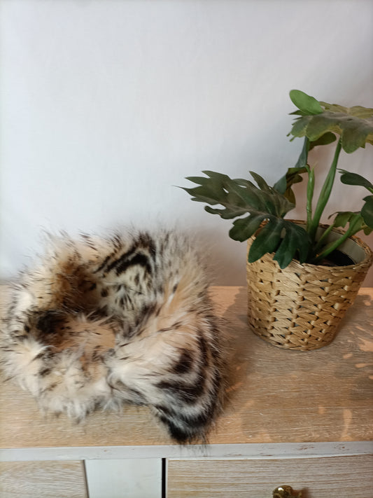 OTHERS. Two-tone fur collar