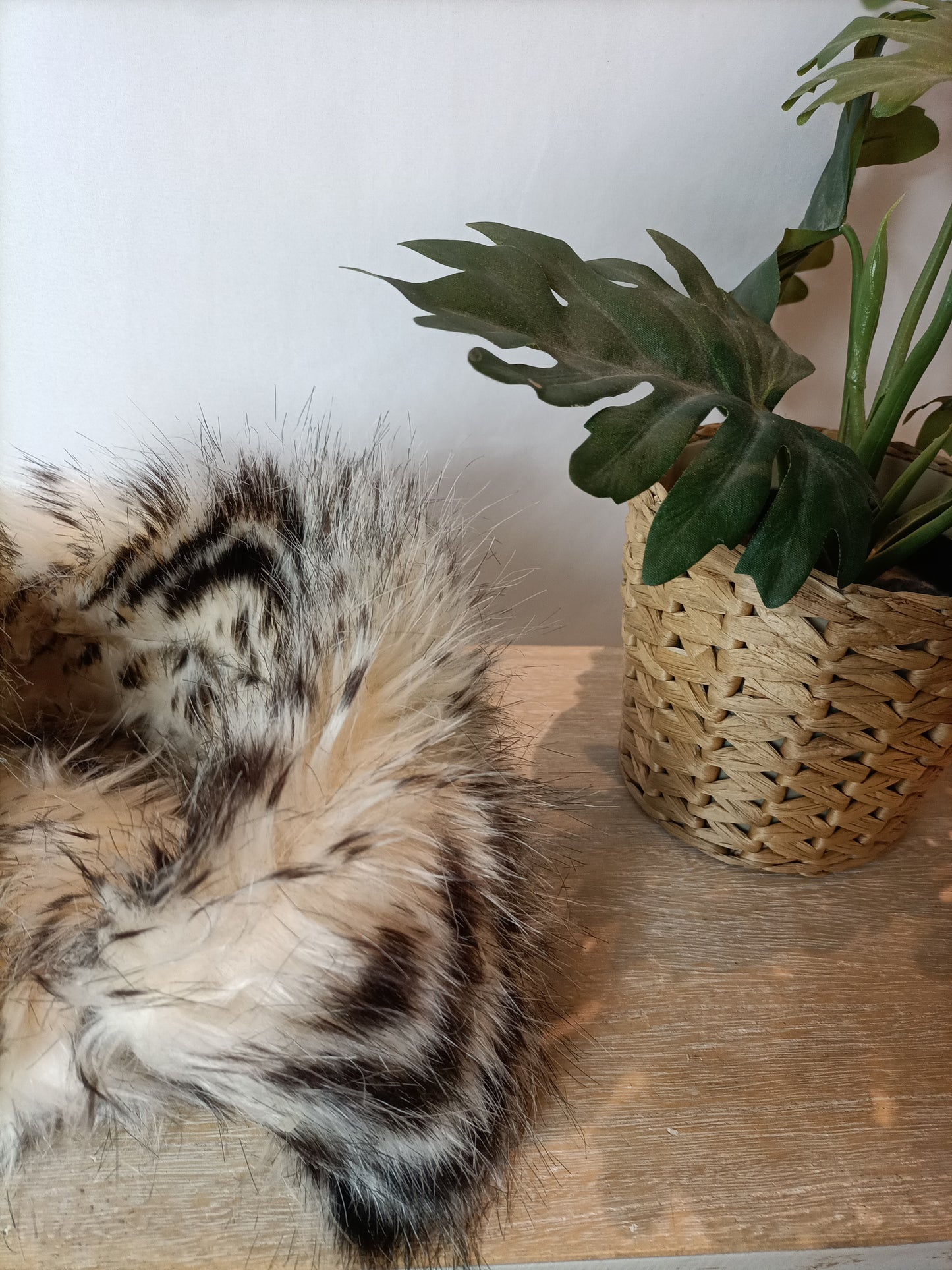 OTRAS. Cuello pelo bicolor