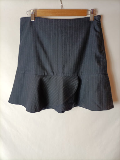 ZARA. Blue pinstripe skirt. TS