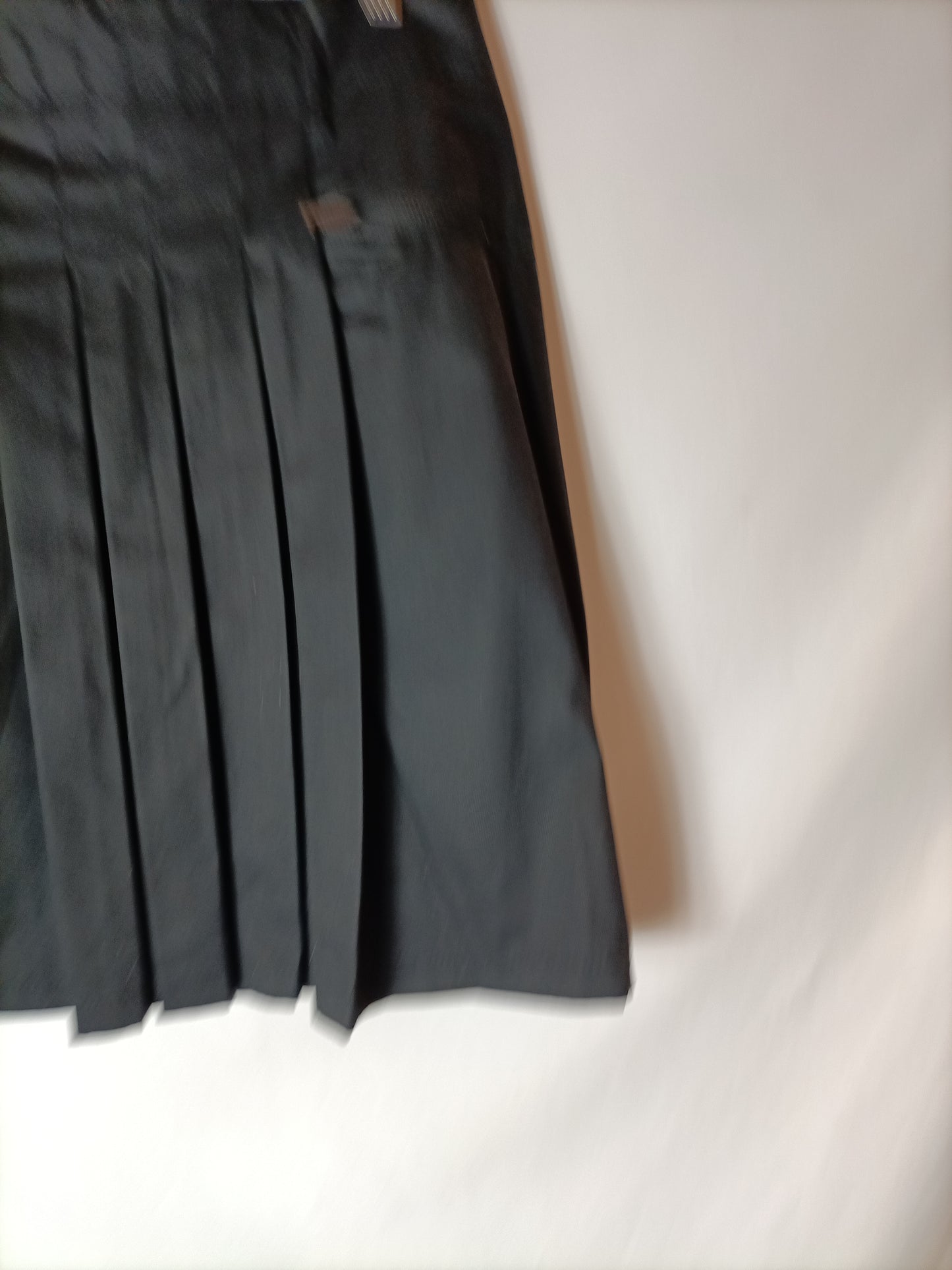 ZARA. Black pleated Ts skirt