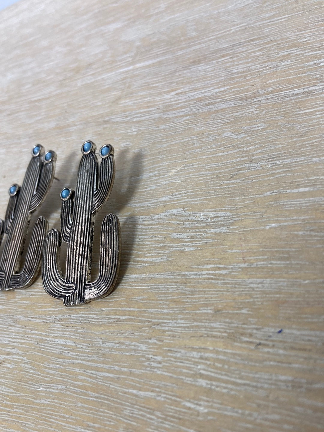 OTRAS.Pendientes cactus plateados