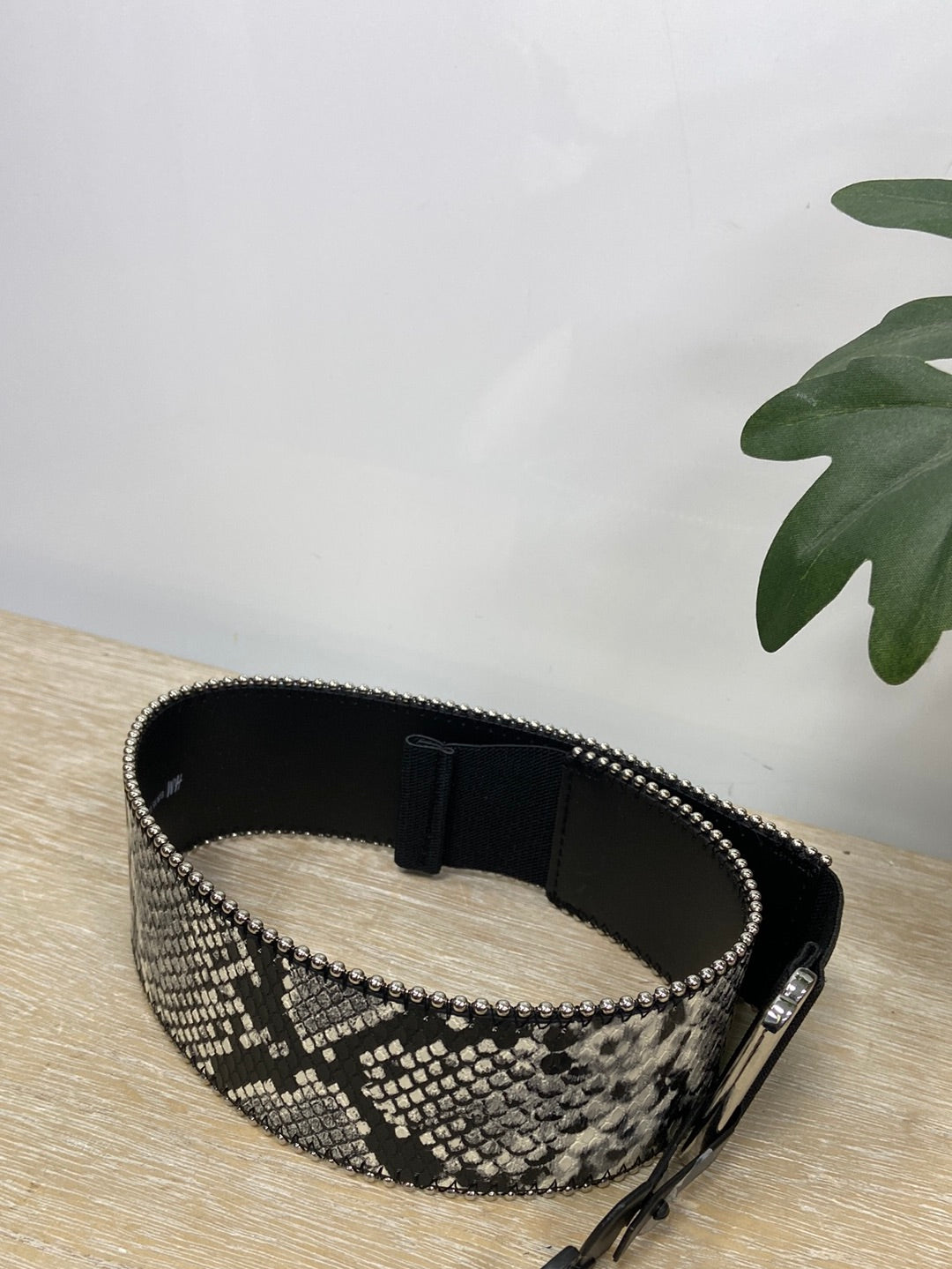 H&amp;M. Snake Belt