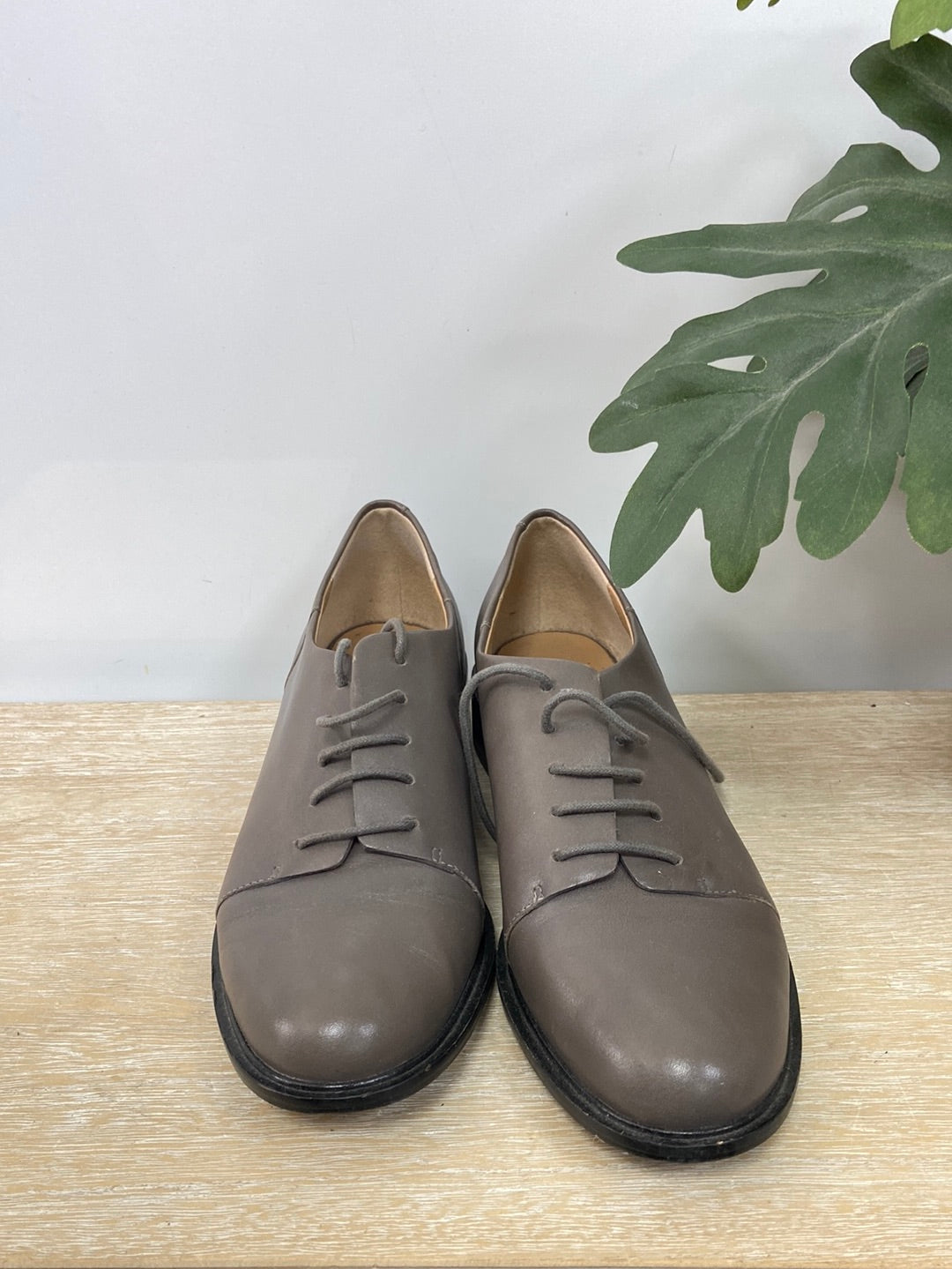 ADOLFO DOMINGUEZ. Zapato plano cordones T.38