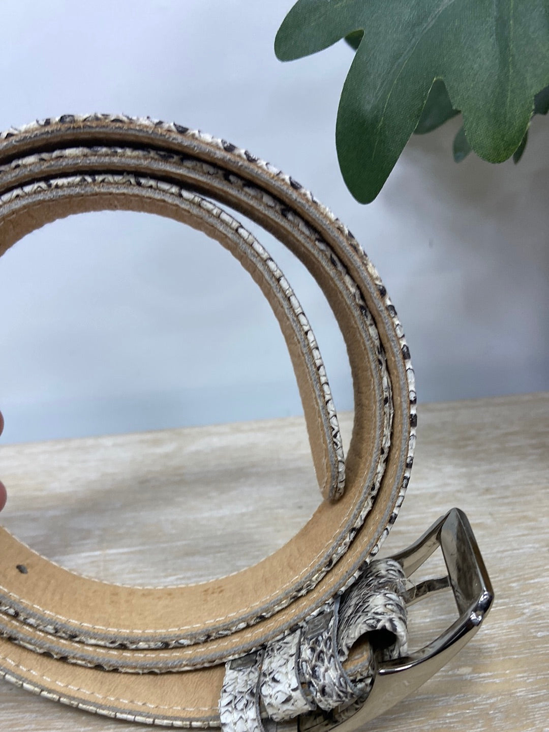 OTRAS. Cinturón serpiente T.u