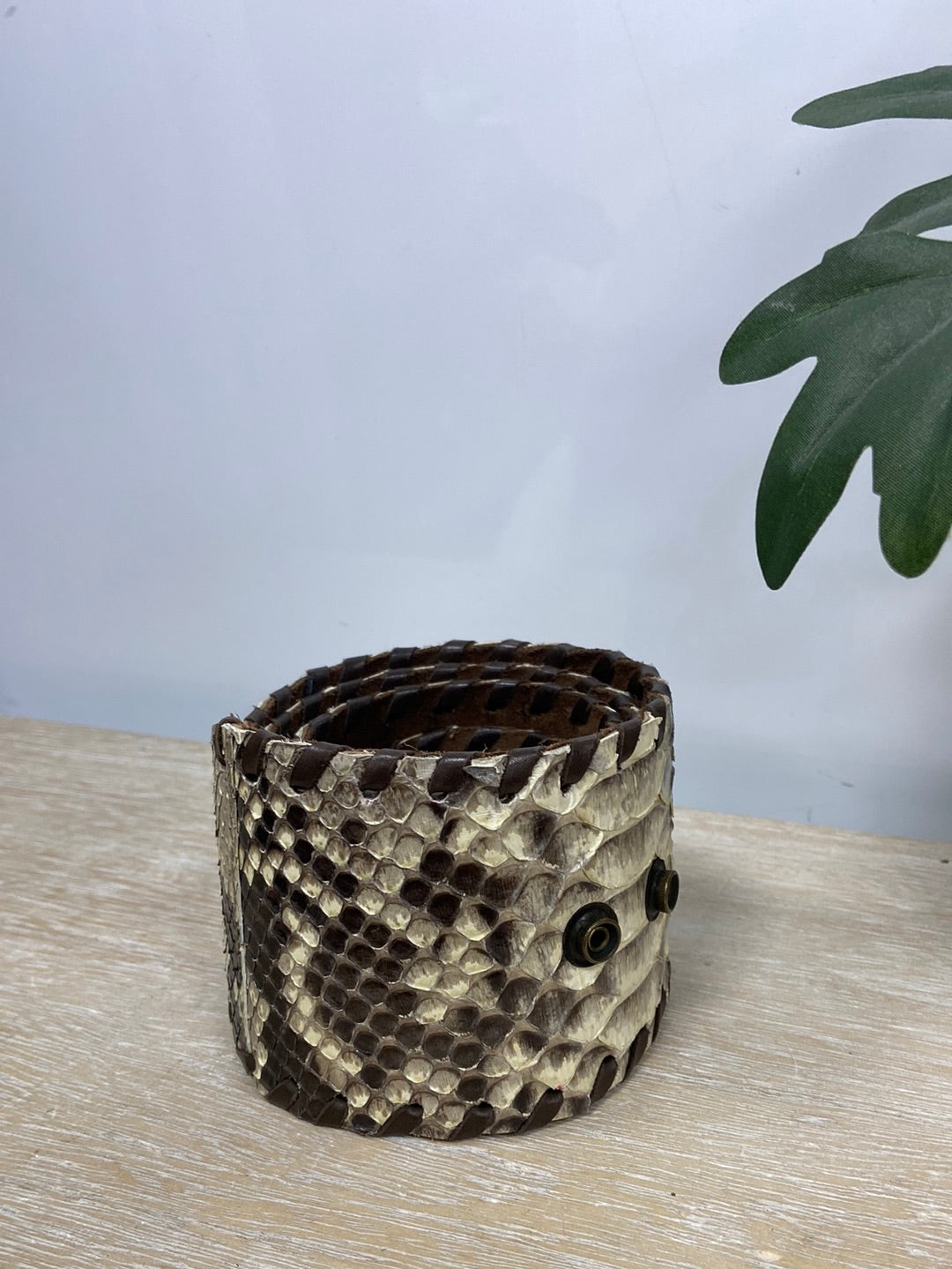 MADMACARENA. Cinturón serpiente T.m