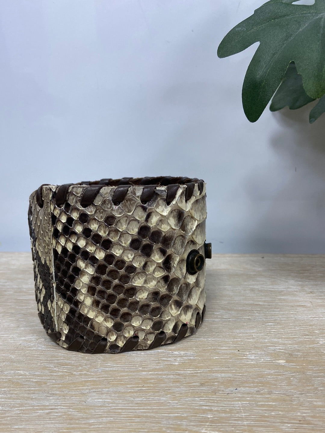 MADMACARENA. Cinturón serpiente T.m