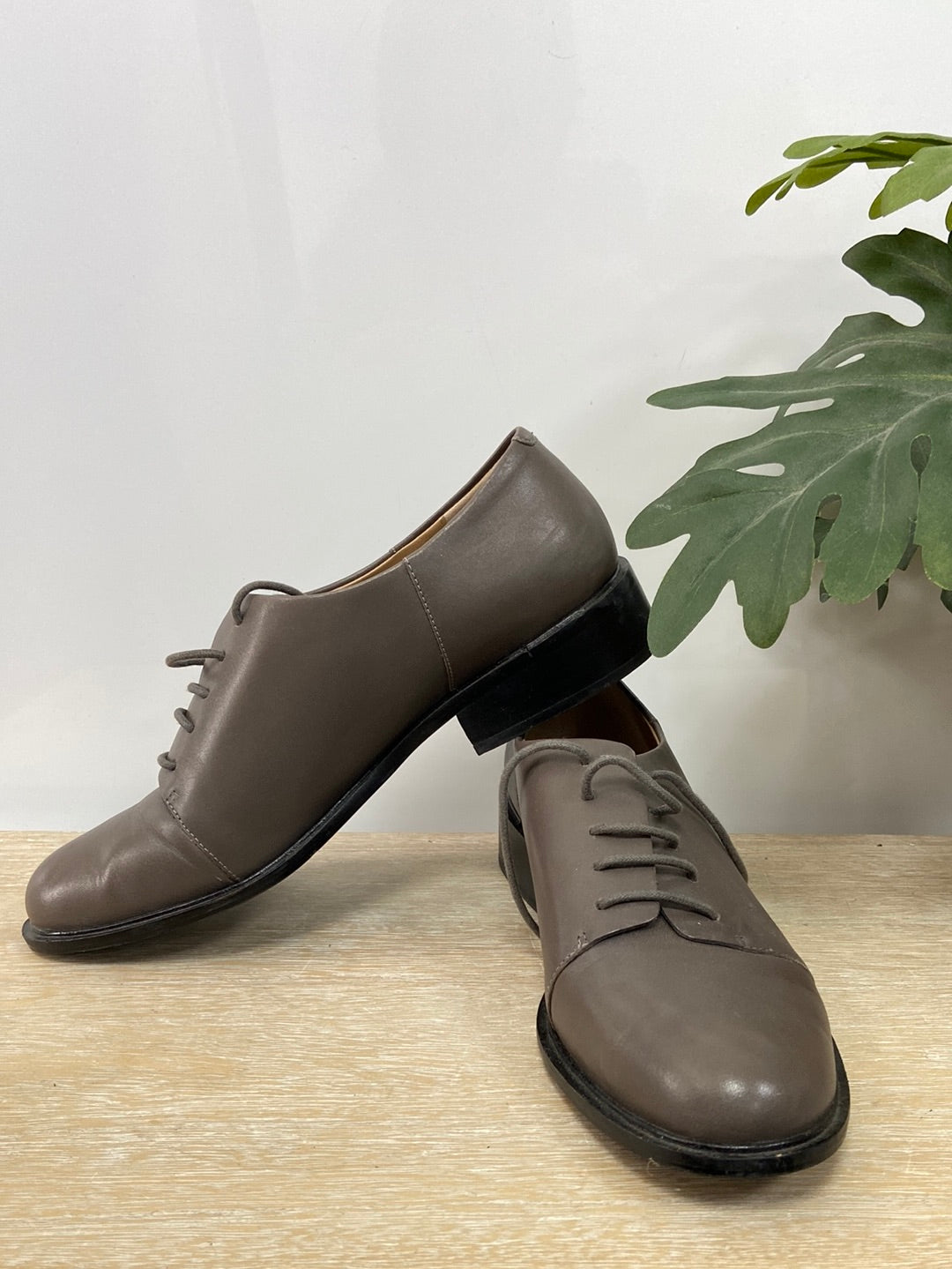 ADOLFO DOMINGUEZ. Zapato plano cordones T.38