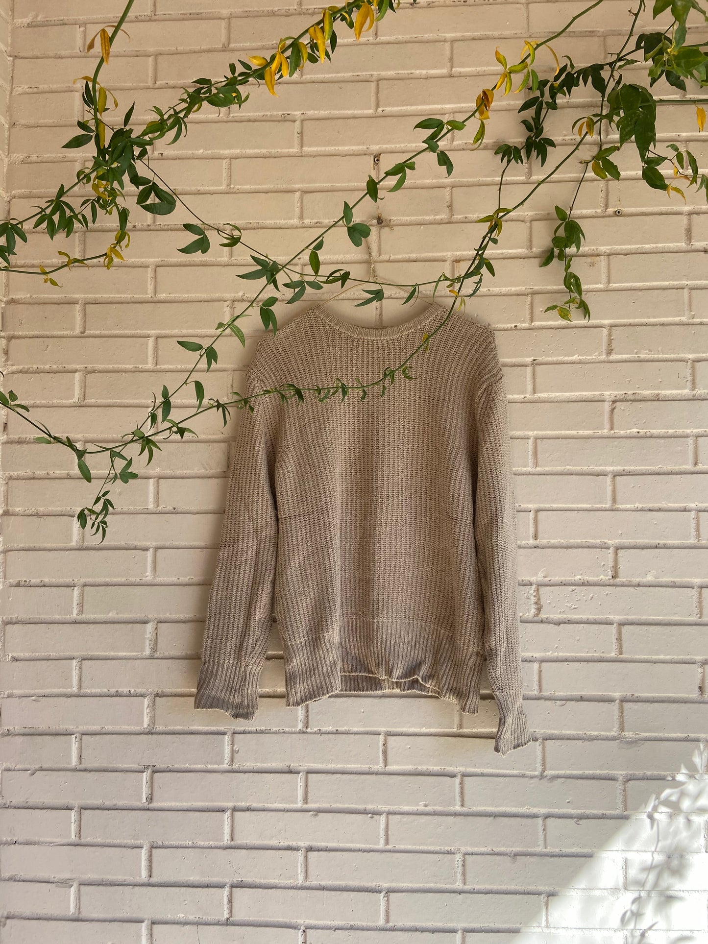 Jersey beige punto T.s